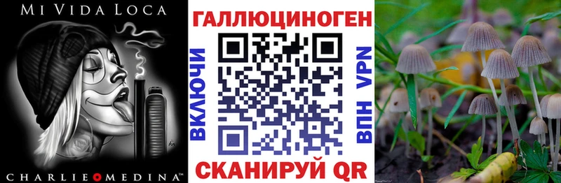Галлюциногенные грибы MAGIC MUSHROOMS  mega ССЫЛКА  Тотьма  закладки 